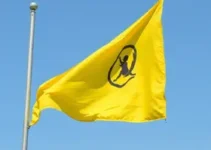 bandeira amarela