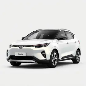 BYD Dolphin Mini