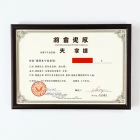Emitir Certificado MEI