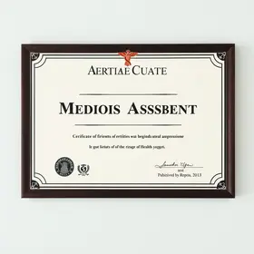 Certificado de Direito à Assistência Médica (CDAM)