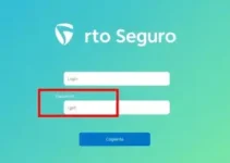 porto seguro entrar