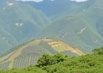 Santanense Trabalhe Conosco