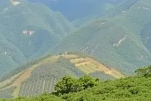 Santanense Trabalhe Conosco