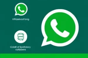WhatsApp Ministério da Cidadania