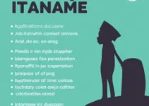 concurso da educação em Itanhaém
