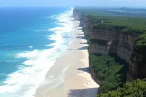 Partiu Estágio