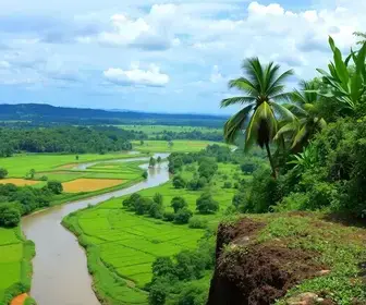 vagas abertas Agro Amazônia