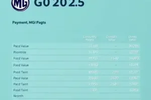 licenciamento MG 2025