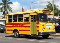 ônibus grátis em Porto Velho nas eleições