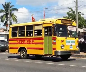 ônibus grátis em Porto Velho nas eleições
