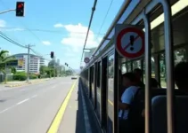 tarifa zero transporte público